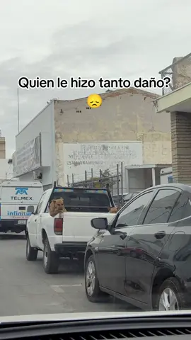 #humor #cuu #dog #perro #triste 