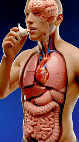 Science in action. When you eat garlic.... your entire body begins a powerful chain reaction #humanbody #anatomy #health #3danimation #Science 