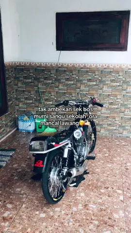 inpo nanas🍍#ulemstyle🚀 #w9style #glgank🤙 #yoikikepin5 #glkotakofficial⚡ 