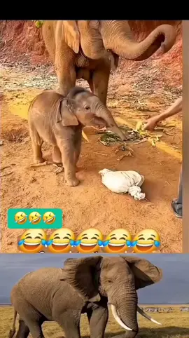 எங்கம்மா எனக்கு தோலை கூட கொடுக்காது 🤣🤣