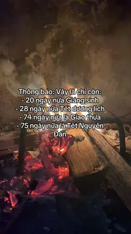 Thông báo: Vậy là chỉ còn: - 20 ngày nữa Giáng sinh - 28 ngày nữa Tết dương lịch  - 74 ngày nữa là Giao thừa - 75 ngày nữa là Tết Nguyên Đán#viral #xuhuong #tet2026 #giangsinh2026 