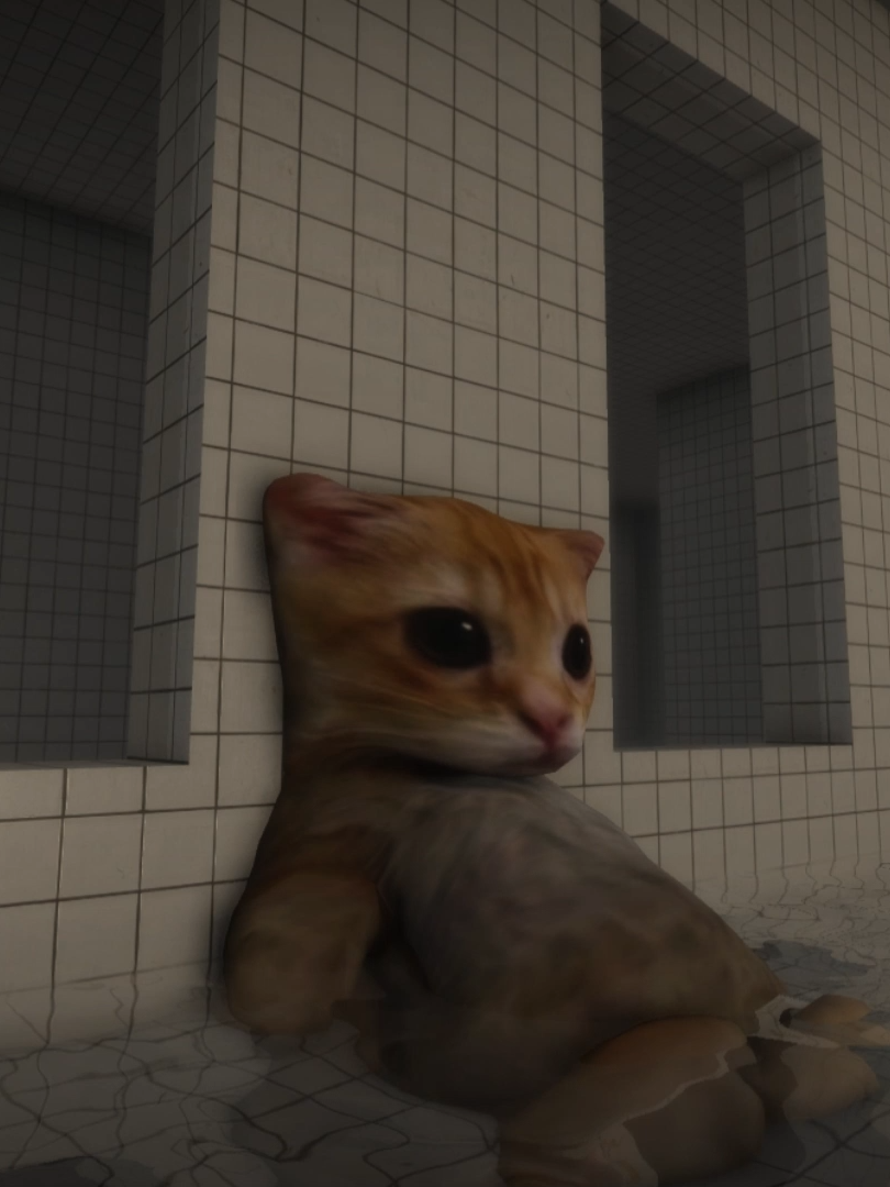 USEN EL AUDIO PARA SUS TIKTOKSSS🔥🔥🔥 . . . #gato #fyp #edits #aura #paratiiiiii #parati #rob