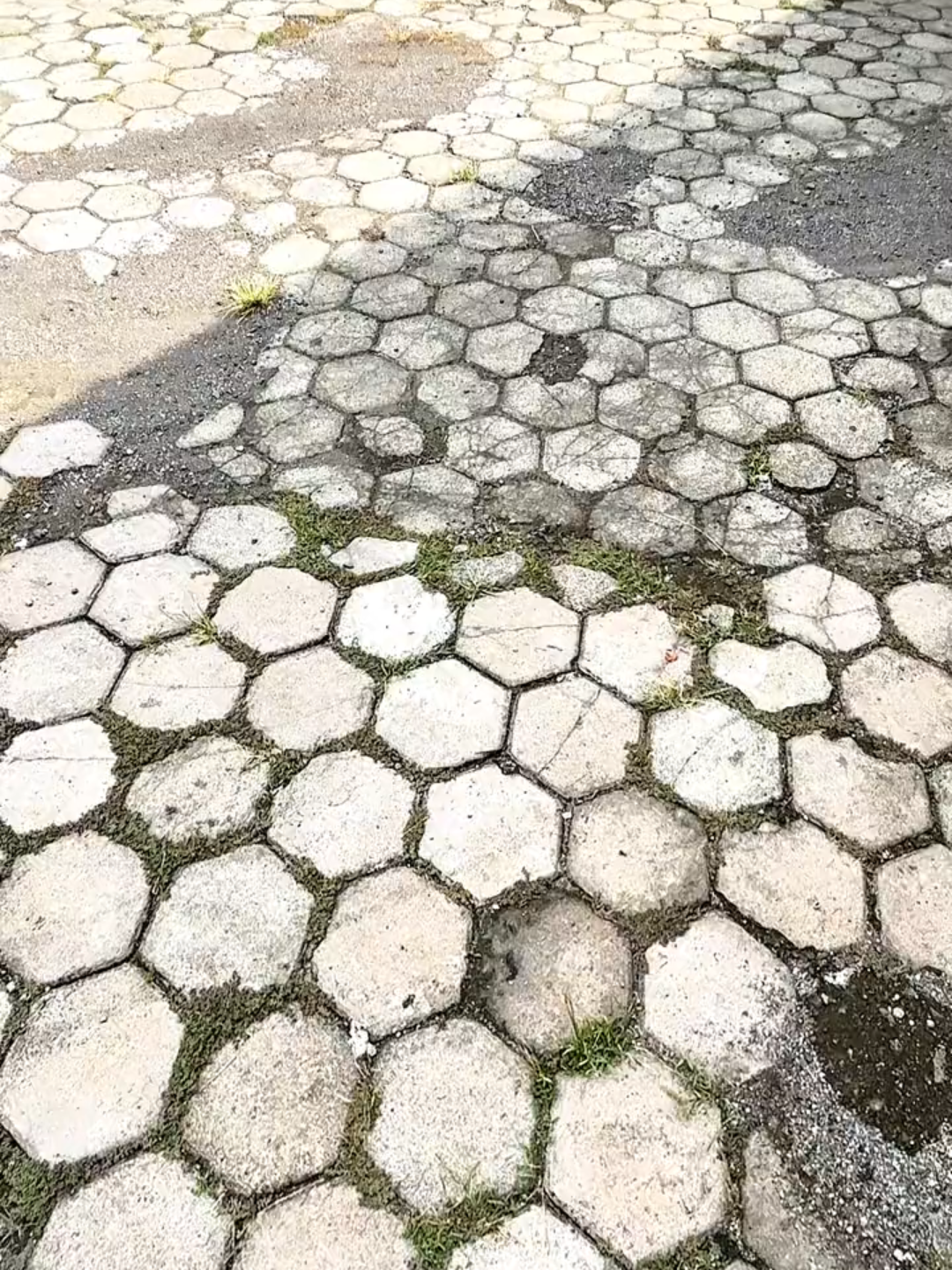 Sruut sruutt seperti biasa oopo Reno 10😁😁 Upload nya😎 Upload nya😎#mSim11 #microsoftedge #Ccpro #langit