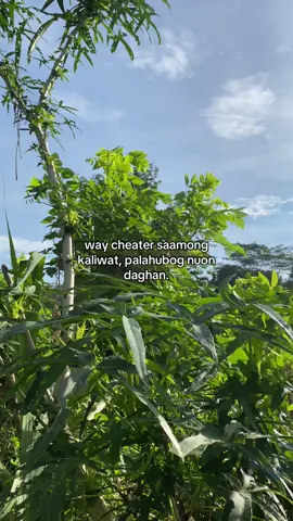 #fyp #bisaya #fypppppppppppppppppppppp #highlight #follower 