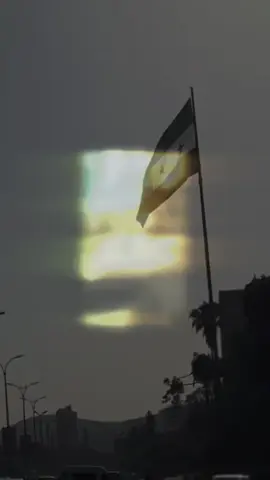 #بالغو #بأفراحكم  #الثمن #غالي  رحم الله شهداء سوريا 💚💚💚