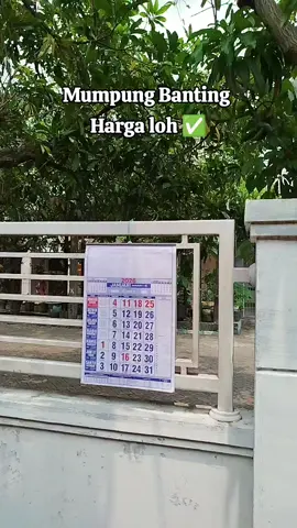 Kalender Dinding Polos 2026 ukuran 32x48 cm, super lengkap, silakan di checkout sebelum naik harganya guys #kalender #kalender2026 #kalendermasehi #kalenderpolos #kalenderdinding 