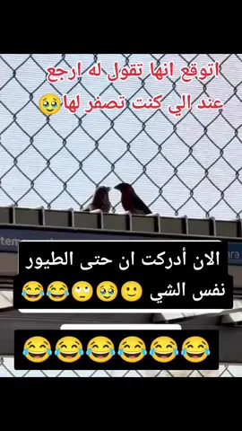 #اكسبلور #foryoupage #foryou #ضحك #الشعب_الصيني_ماله_حل😂😂 