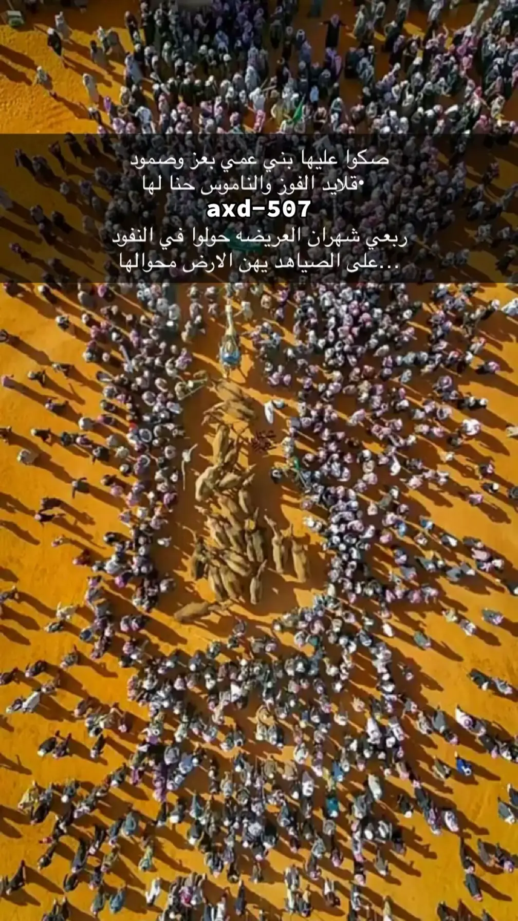 #الـطـوفـان_الصياهد #راعي_ملكات_الشلف🔥🏆 #محمد_حسن_الصقور_الشهراني