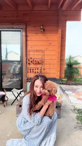 ✨ BESSの小屋の、愛おしすぎる冬じたく 🏡🐶 今年もついに、冬の仕込みが本格スタート！  干し柿を終えたら、ここからは白菜漬けの日々が始まるよ〜。 忙しいけど、なんだかワクワクするこの季節。 そんな手仕事の横には、いつだって我が家の「ぬくもり見守り隊」がスタンバイしてくれてるんだ🙌 お部屋の中でもわちゃわちゃ賑やかで、 たまにみんなでまったり過ごす時間も、本当に幸せで。 この、ドタバタと穏やかさが混ざり合った日常が、たまらなく愛おしいんだよね。  わんこと一緒だと、冬の寒さも優しい気持ちで迎えられるよ😊 #わんことの日常 #BESSの家 #冬の仕込み中 #干し柿 #白菜漬け     家       