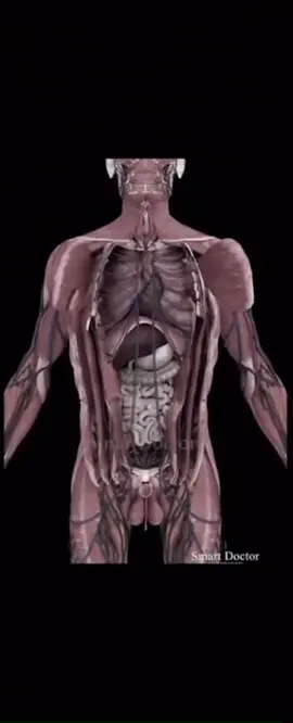 #فلاح_المسردي #اكسبلورexplore #الشعب_الصيني_ماله_حل😂😂🙋🏻‍♂️ #fyp #اكسبلور_تيك_توك 