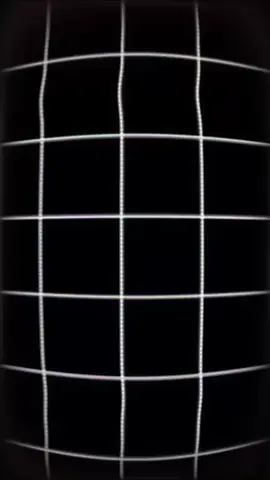 Dato de la prehistoria para no perder la racha  #viral  #fyp #larachaaaaaaaaaa🔥  #parati #datoscuriosos 