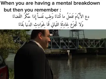 #thesopranos #tonysoprano 