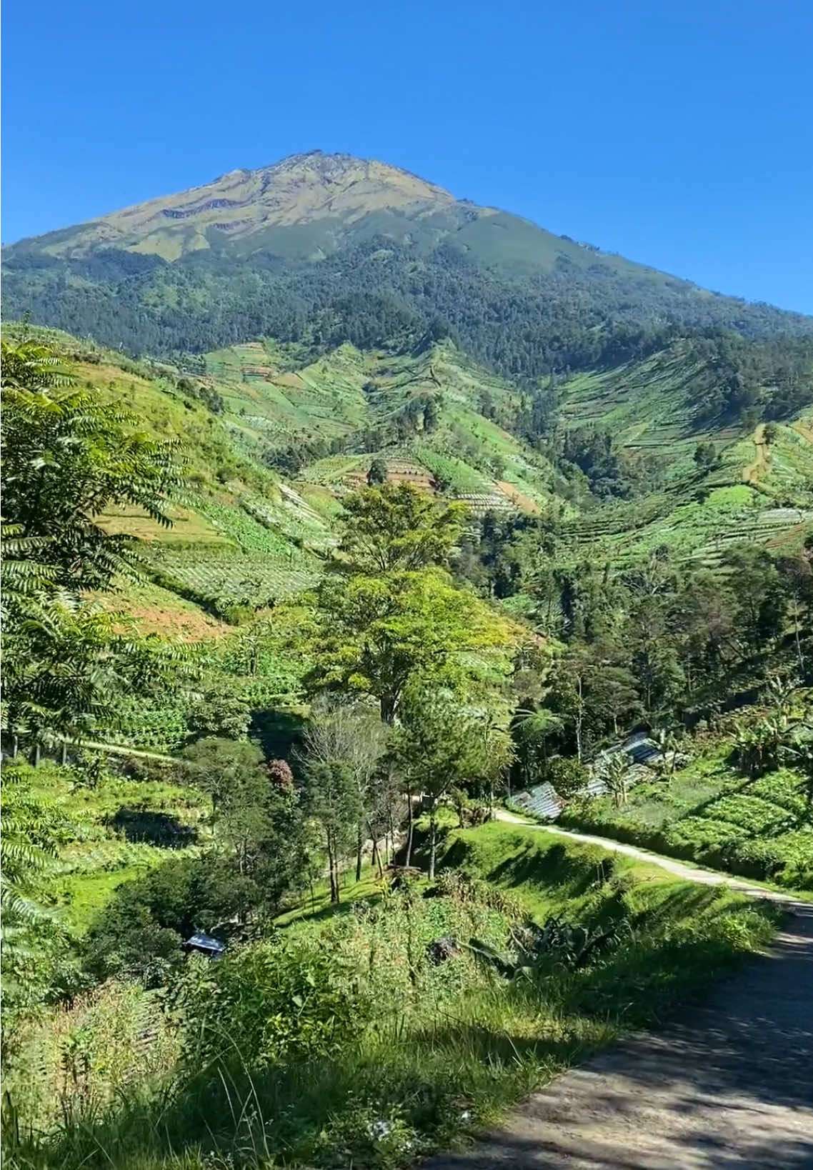 View tersembunyi di windusari magelang #wisatamagelang #gunungsumbing #windusari 