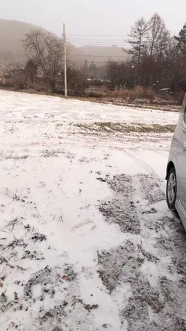 snow snow snow #winter 