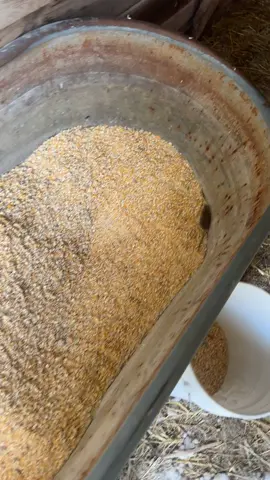 #fyp rumour has it he hit the ground runnin! 