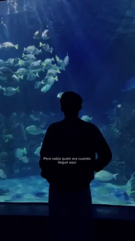 #parati #fyp #arianagrande #hampstead 