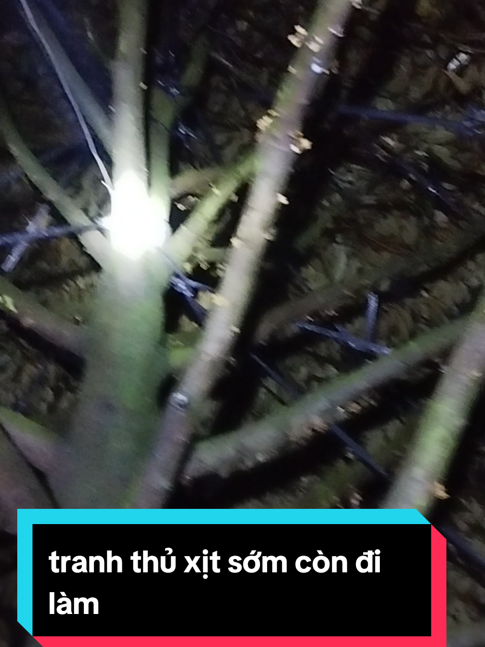 ngày đi làm cho người đêm thì làm cho ta#sauriengmiendong #lamvuon #uocduoclenxuhuong 