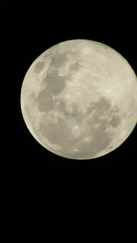 A Última SuperLua de 2025, um espetáculo celeste no Brasil em 4 de dezembro. Nesta data especial, a Lua atinge seu perigeu ao mesmo tempo em que fica completamente iluminada, criando a última SuperLua do ano. Vista do Brasil, ela surge maior, mais brilhante e com um tom dourado intenso próximo ao horizonte, oferecendo um show natural impossível de ignorar. O fenômeno é uma oportunidade rara para observar detalhes da superfície lunar a olho nu, como crateras e mares lunares mais destacados pela luz refletida. Para astrônomos e apaixonados pelo céu, esta SuperLua marca o encerramento perfeito do calendário astronômico de 2025, um lembrete majestoso da beleza e do ritmo do cosmos. #galaxianoceu #universo #astronomia #superlua #moon 