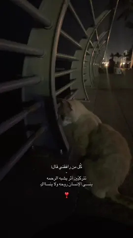 #pppppppppppppppp #viral #foryou #tiktok 