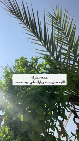#صباح_الخير #اللهم_امين #صلو_على_النبي_صلى_الله_عليه_وسلم #جمعة_مباركة #تصويري📷 