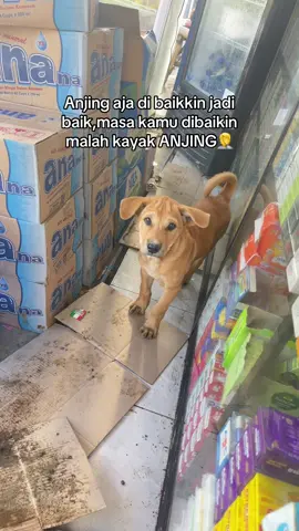 Anda kadang