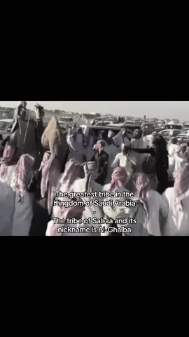 #503 #سبيع #الغلباء 