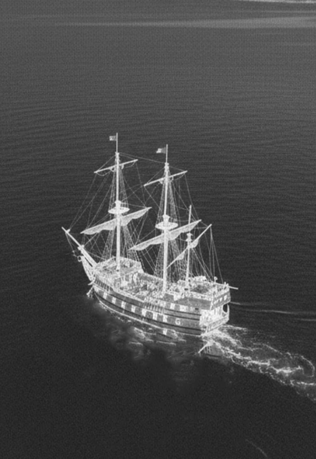 I DIDN’T EVEN HAVE ANYTHING ON BOARD!! #meme #pirate #brainrot #cartoon #cartoons 