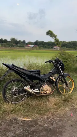 🍃 #fuwungkul147 #fyp 