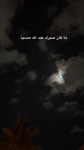 سُـورة يُوسف 🫀. #قران_كريم #قران #قران_كريم_ارح_سمعك_وقلبك #اجر_لي_ولكم_ولوالدينا_وللمسلمين #صدقه_جاريه 