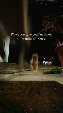 They love grandmas house haha 