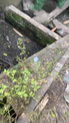 biểu hiện của vc sắp ra quân 😂#bodoibienphongvietnam #hottrend #bodoicuho❤️ 