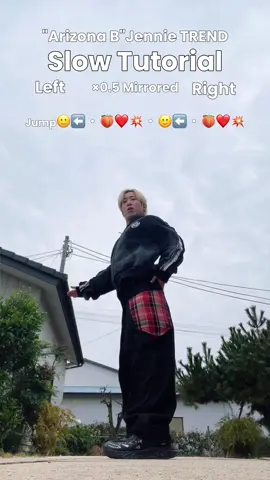 @Megan ♓に返信 OUT FIT @aelfriceden_official #aelfriceden Slow & Mirrored Dance tutorial 