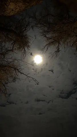 نور البدر في ليل التمامّ. #البدر #شتاء_الرياض #الرياض #fyp 
