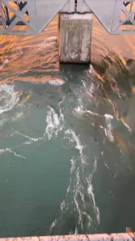 #sumatrabarat #fyp #ombilindanausingkarak #solok 