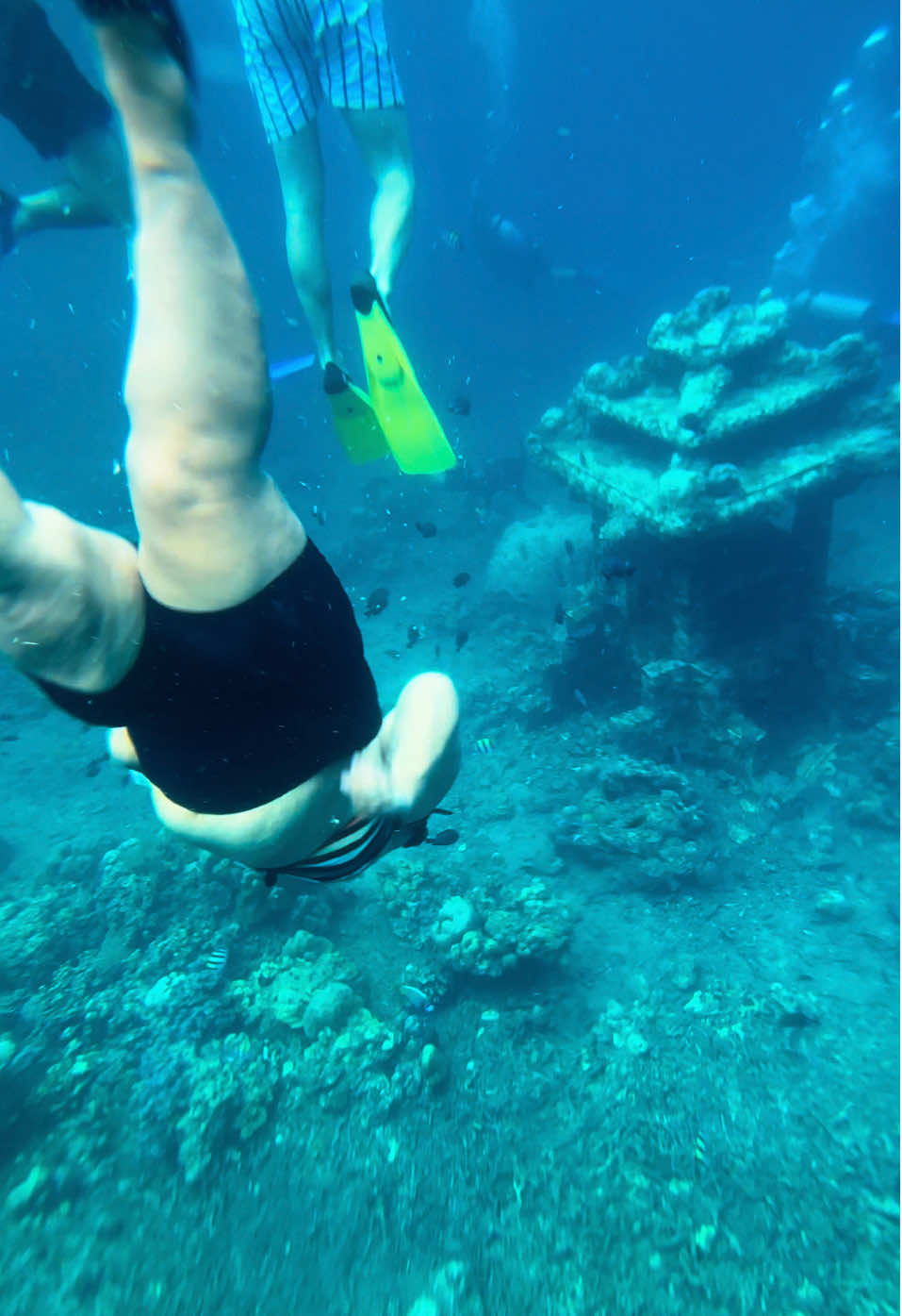 To the depths I go, not to escape, but to remember who I was before the noise. #amed #freediving #bali #fyp #ocean 