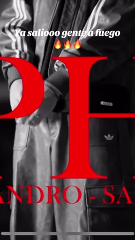 A fuegooo ya salió el temita del vicioso. #parati #foryou #musica #leandro #tendencia 
