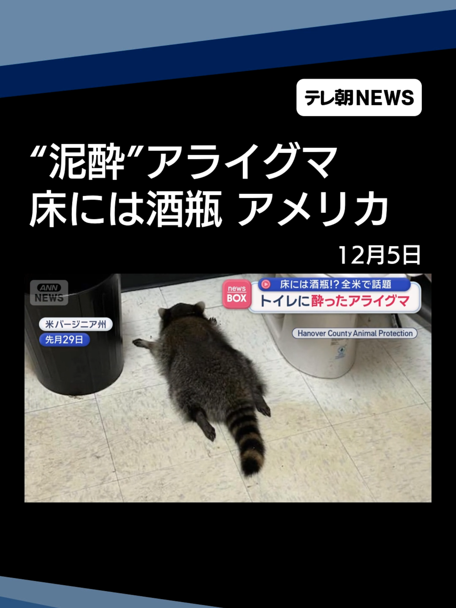 床には酒瓶！？全米で話題 トイレに酔ったアライグマ #テレ朝NEWS #tiktokでニュース