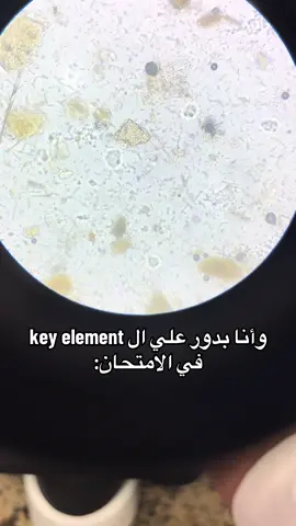 يخربيت أم الكونجو…#pharmacy #foryou #pharmacogonsy #fyyyy #university 