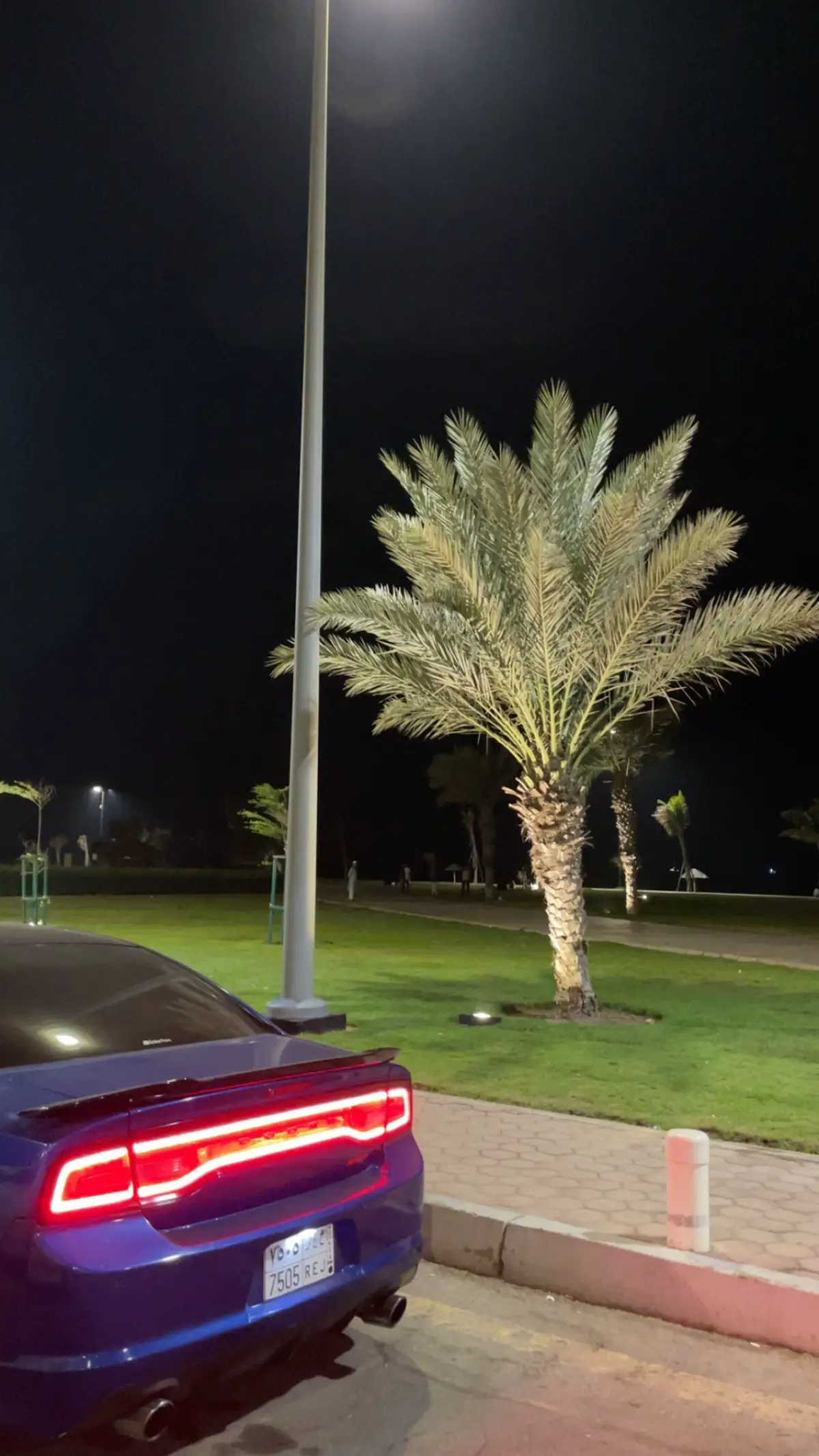 #fyppppppppppppppppppppppp #jed #fyp #عشوائيات 