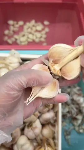 #peelgarlic #asmr #fyp #foryou 