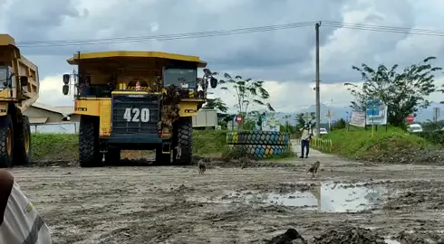 sebelum negara api menyerang, kerajaan monyet yg duluan menyerang😬🐒#tambangbatubarakalimantan #fyp #tambangbatubara #tambangkalsel #anakrantau 