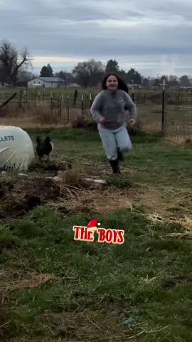 #CapCut From one sty to a fancier sty. Living the dream! 🐷🏠 #LakeTheShowKid #4H #ShowPig #GrandChampion