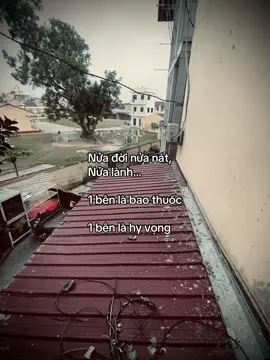 #fvp #tamtrang #viral #xuhuong 