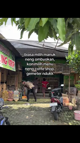 #4u #foryoupage #kicaumania 