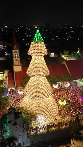 Cây thông Noel làm bằng nón lá lớn nhất Việt Nam nè 😛 #hải 