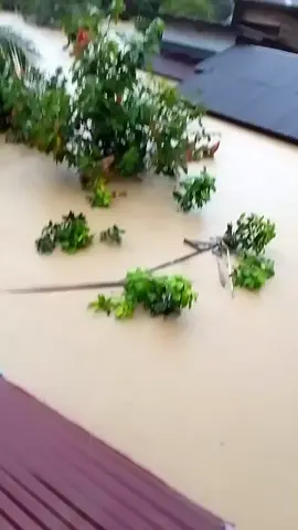 ya Allah begitu berat ujian yg engkau berikan 😭😭 semua yg terjadi begitu cepat  Alhamdulillah saya dan anak2 selamat dri bencana TPI tidak selamat dari kelaparan 😭😭😭