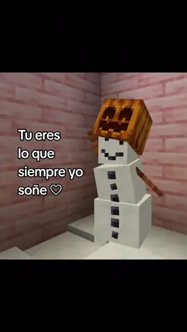 My one and only love 💞 @Mon Laferte  #fyp #parati #Minecraft #foryou #Love 