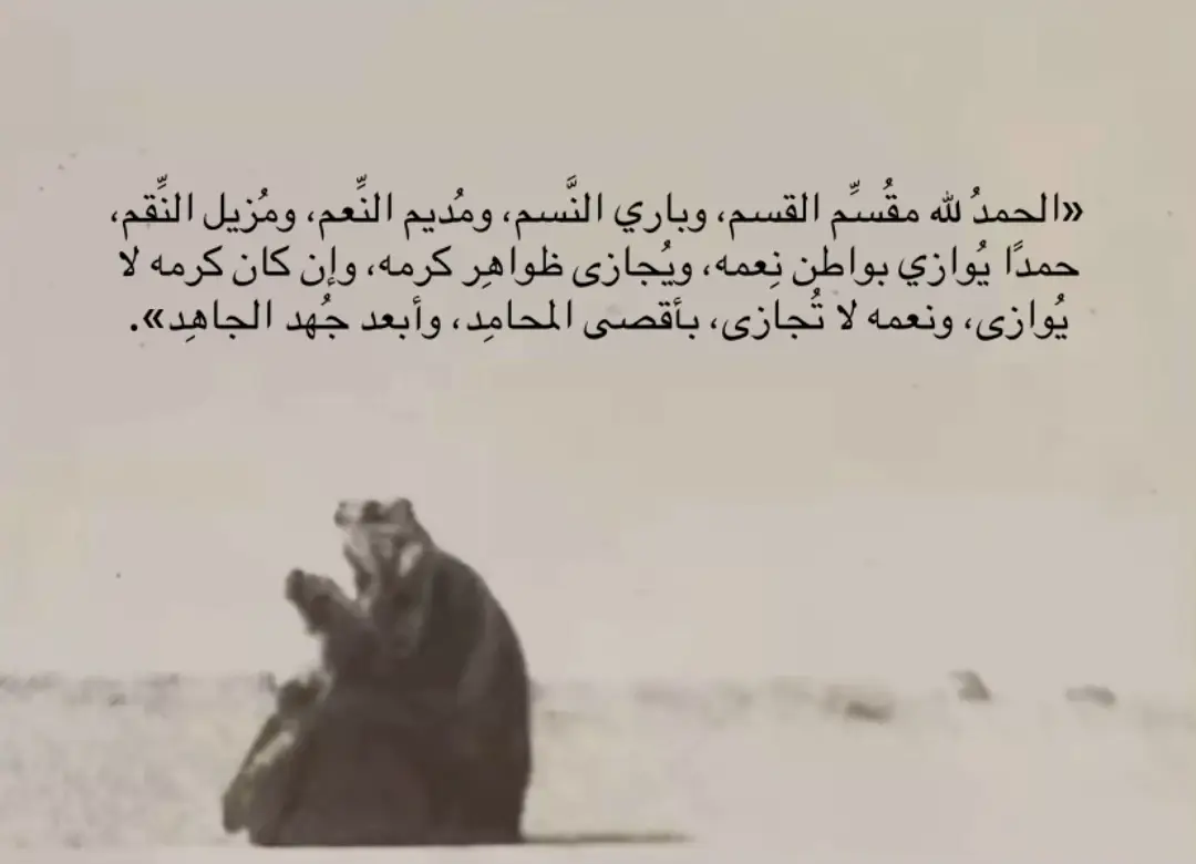 #explore #اكسبلور #اكسبلورexplore #السعودية🇸🇦 #السعودية 