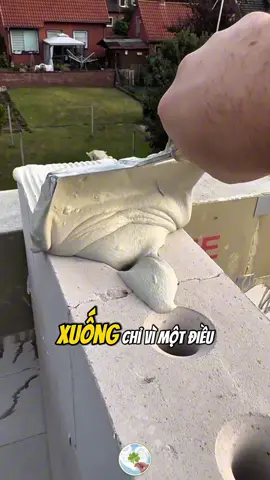 #leanontiktok #gocnhocuasach #hoccungtiktok #phattrienbanthan #baihoccuocsong 