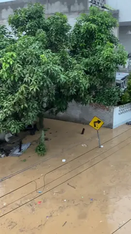 2012 terulang lagi di 04 desember 2025#banjir #bandung 